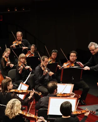 Live concert by Thomas Ospital