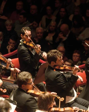 Advance Base, Moontype & Bobbie