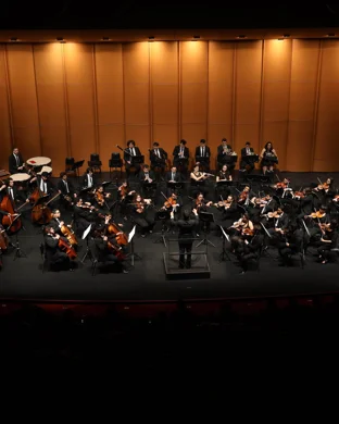 Delirium Musicum Chamber Orchestra Santa Monica