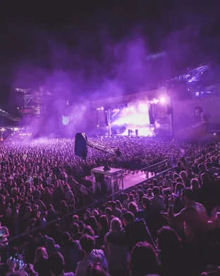 Tough Luvv Scene Fest