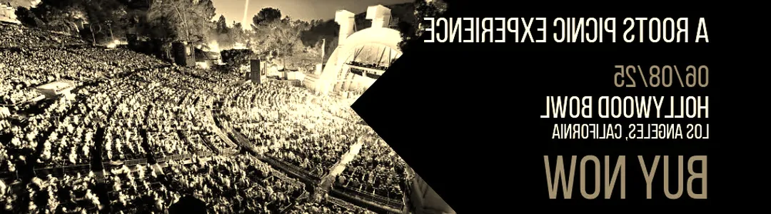 A Roots Picnic Experience