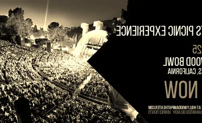 A Roots Picnic Experience