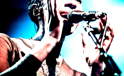 Bonobo