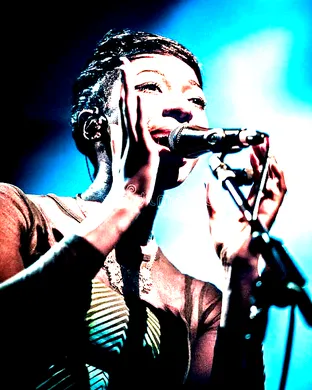 Bonobo