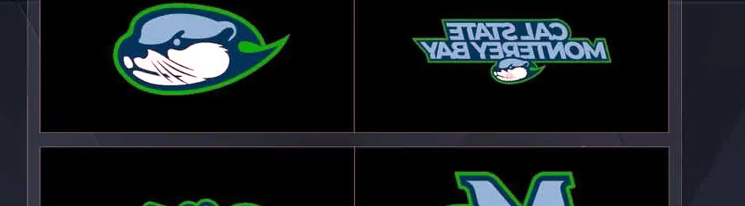 Cal State Monterey Bay Otters