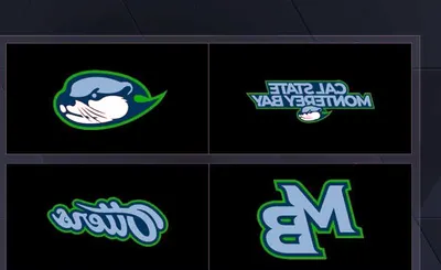 Cal State Monterey Bay Otters