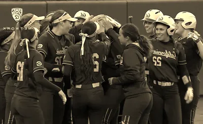 California Golden Bears Softball