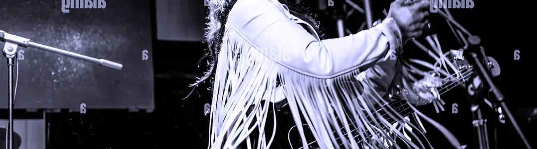 Danielle Nicole Band