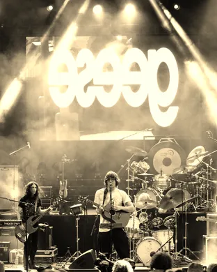 Geese - Band Los Angeles