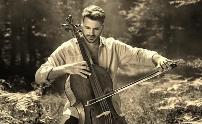 Hauser
