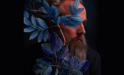 Iron and Wine