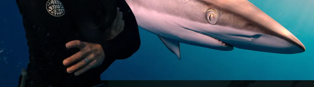 National Geographic Live: Diving the Great Barrier Reef