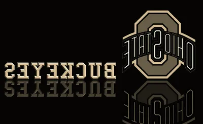 Ohio State Buckeyes