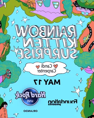 Rainbow Kitten Surprise 