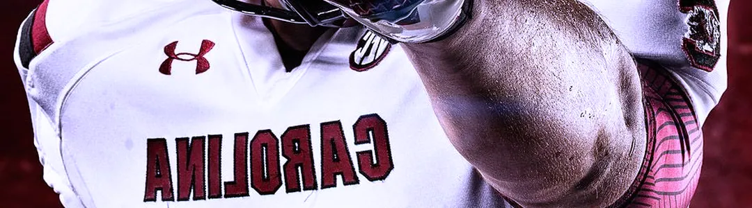 South Carolina Gamecocks