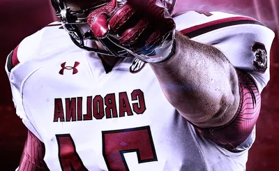 South Carolina Gamecocks