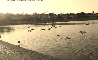 Sun Kil Moon