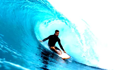Twin Fin