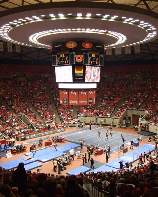 Vampires Everywhere!