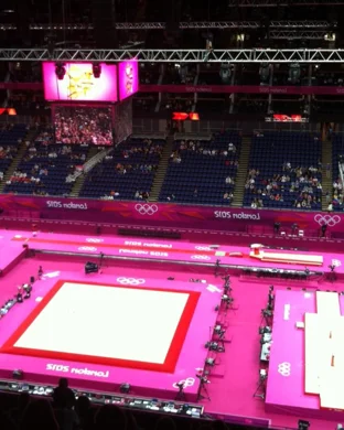 UCLA Bruins Women's Gymnastics vs. Utah Utes