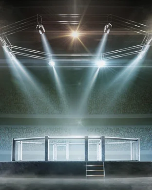 Ronda Rousey vs. Gina Carano & Ngannou vs. Lins