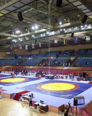 Extreme Dwarfanators Wrestling